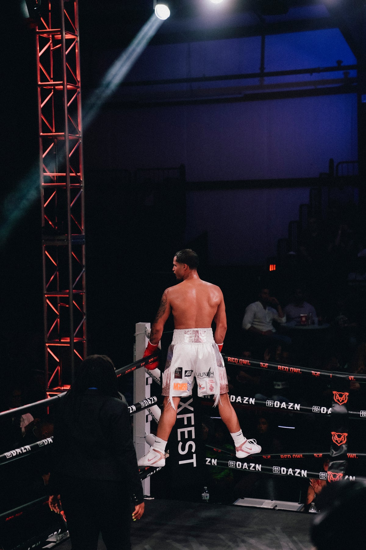 Red Owl Boxing
