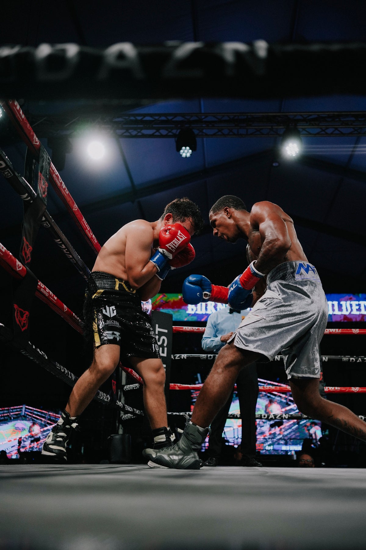 Red Owl Boxing