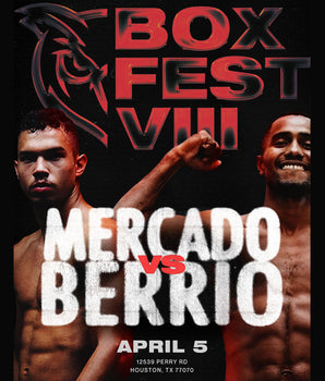 BOXFEST VIII